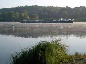 Morgenstimmung an der Elbe