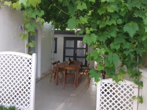 Terrasse mit Weintrauben überdacht 