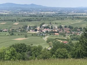 mit Blick auf die Vogesen.