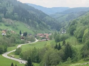 im Südschwarzwald.