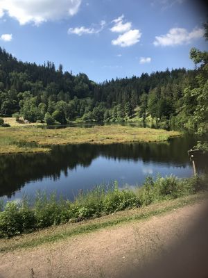 und Badesee Nonnenmattweiher.
