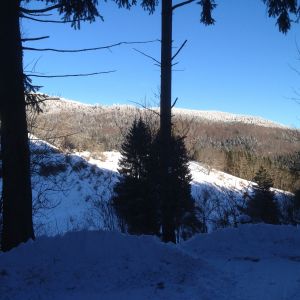 im Südschwarzwald