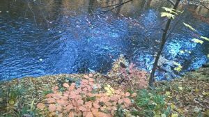 Bild 14: Pension und Ferienwohnung Helene an der Schwarza