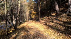 Bild 13: Pension und Ferienwohnung Helene an der Schwarza