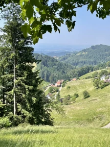 Ferienwohnung in Malsburg-Marzell: Traumhaft schöne Penthouse Ferienwohnung für 2 - 14 Personen