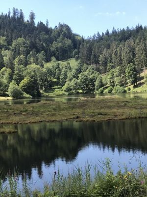 Bild 6: Große Ferienwohnung mit 3 Schlafzimmern und Sonnenterrasse