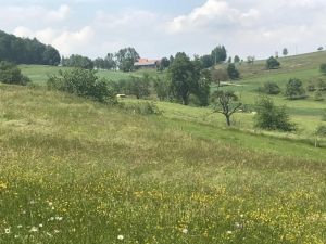 Bild 11: Große Ferienwohnung mit 3 Schlafzimmern und Sonnenterrasse