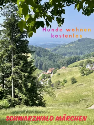 Bild 1: Große Ferienwohnung mit 3 Schlafzimmern und Sonnenterrasse