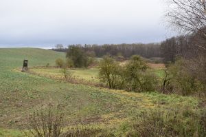 Der malerische Behrendsee ist nur einen Kilometer entfernt