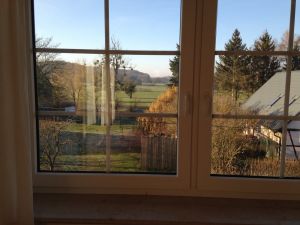 Im Sommer das Reich der Rinder (und Wildschweine)