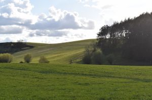 Die Felder im Hintergrund gehören zum Gut Hessenhagen