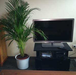 SAT TV und kleine Stereo-Anlage
