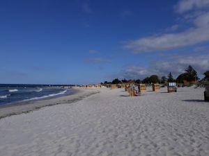 Bild 9: Helle Ferienwohnung in Holm