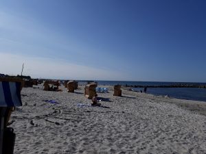 Bild 10: Helle Ferienwohnung in Holm