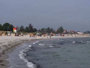 Bild 11: Helle Ferienwohnung in Holm