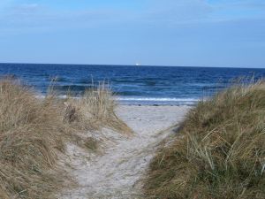 Bild 12: Helle Ferienwohnung in Holm
