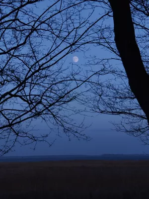 Bild 27: Ferienhaus am Nationalpark - 250 m bis zur Naturbadestelle