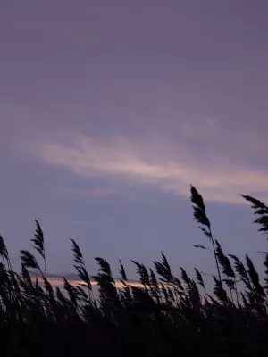 Bild 24: Ferienhaus am Nationalpark - 250 m bis zur Naturbadestelle
