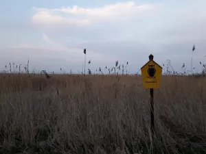 Bild 22: Ferienhaus am Nationalpark - 250 m bis zur Naturbadestelle
