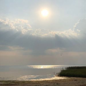 Bild 23: Ferienhaus am Nationalpark - 250 m bis zur Naturbadestelle