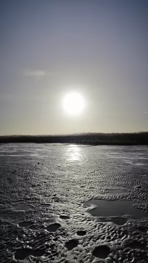 Bild 26: Ferienhaus am Nationalpark - 250 m bis zur Naturbadestelle