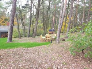 1.7 ha Wald-Grundstück komplett umzäunt