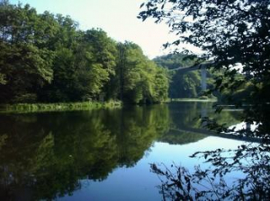 Das Gebiet um den Nahestausee ist Naturschutzgebiet. Wanderwege rundum bieten Ihnen Erholung und lassen Sie die Natur erleben.