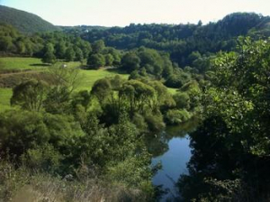Zwischen Hammerstein / Enzweiler und dem Stadtteil Oberstein. Natur - pur.