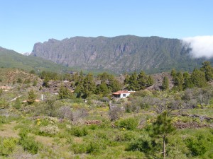 Bild: Casa Frederico - liebevoll restauriertes altkanarisches Bauernhaus