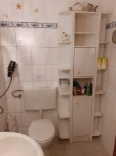 Duschbad/WC/Ablage