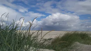 Dünen und Strand