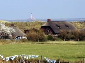 Reetdach-Ferienhäuser Strandperle und Fischerkate direkt am Deich in St.Peter-Ording