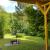Galeriebild 3