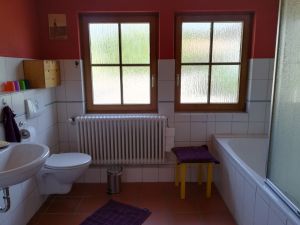 Badezimmer Im Badezimmer gibt es eine Waschmaschine ein Waschbecken, sowie ein WC und eine Badewanne. Auf der Badewanne ist eine Duschwand montiert hinter der man duschen kann.