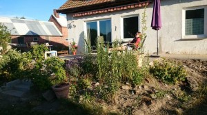 Bild: Ferienwohnung in Mecklenburg, Mitten in einem Dorf, auch mit Hunde(n)