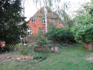 auf der anderen Seite (zu sehen ist nicht der Fewo-Bereich, aber der Garten ist ja frei nutzbar -wie überall in der Natur: auf eigene Verantwortung)