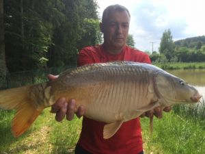 Bild 9: Gästehaus Andrea - Ferienwohnung Nr. 1 (Neu ausgestattet)