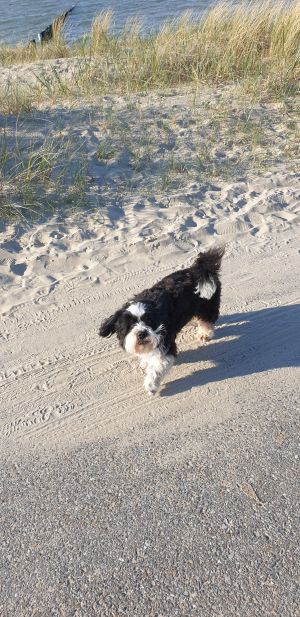 Bild 48: Ferienhaus Strandparel strandnah für Urlaubsgenießer
