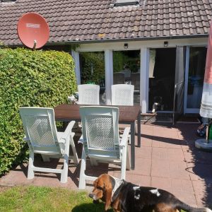 im Sommer