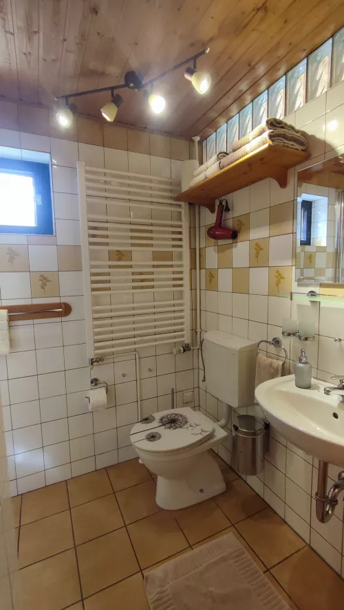 Duschbad/WC
