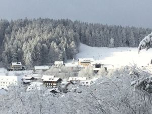 Bild 19: Ferienwohnung Forstpanorama Bayrischer Wald