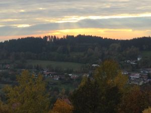 Bild 16: Ferienwohnung Forstpanorama Bayrischer Wald