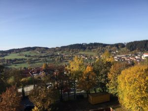 Bild 17: Ferienwohnung Forstpanorama Bayrischer Wald