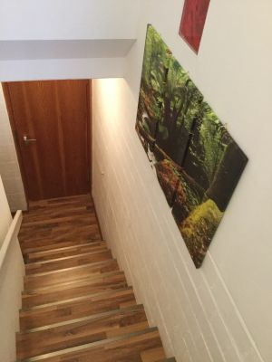 Bild 3: Ferienwohnung Forstpanorama Bayrischer Wald