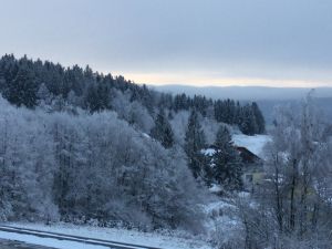 Bild 18: Ferienwohnung Forstpanorama Bayrischer Wald
