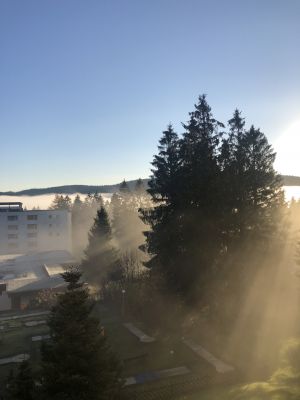 Morgenblick aus dem Fenster