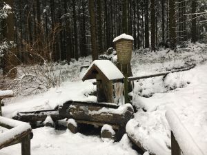Wanderweg im Winter