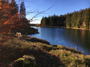 Erholung pur am See