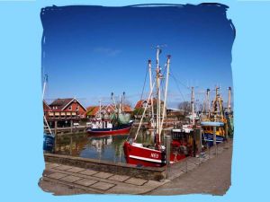 Bild 33: FH Nordsee-Oase, Nordseeküste, Neuharlingersiel: am Meer im Grünen am Hafen