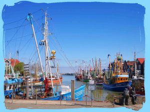 Bild 34: FH Nordsee-Oase, Nordseeküste, Neuharlingersiel: am Meer im Grünen am Hafen